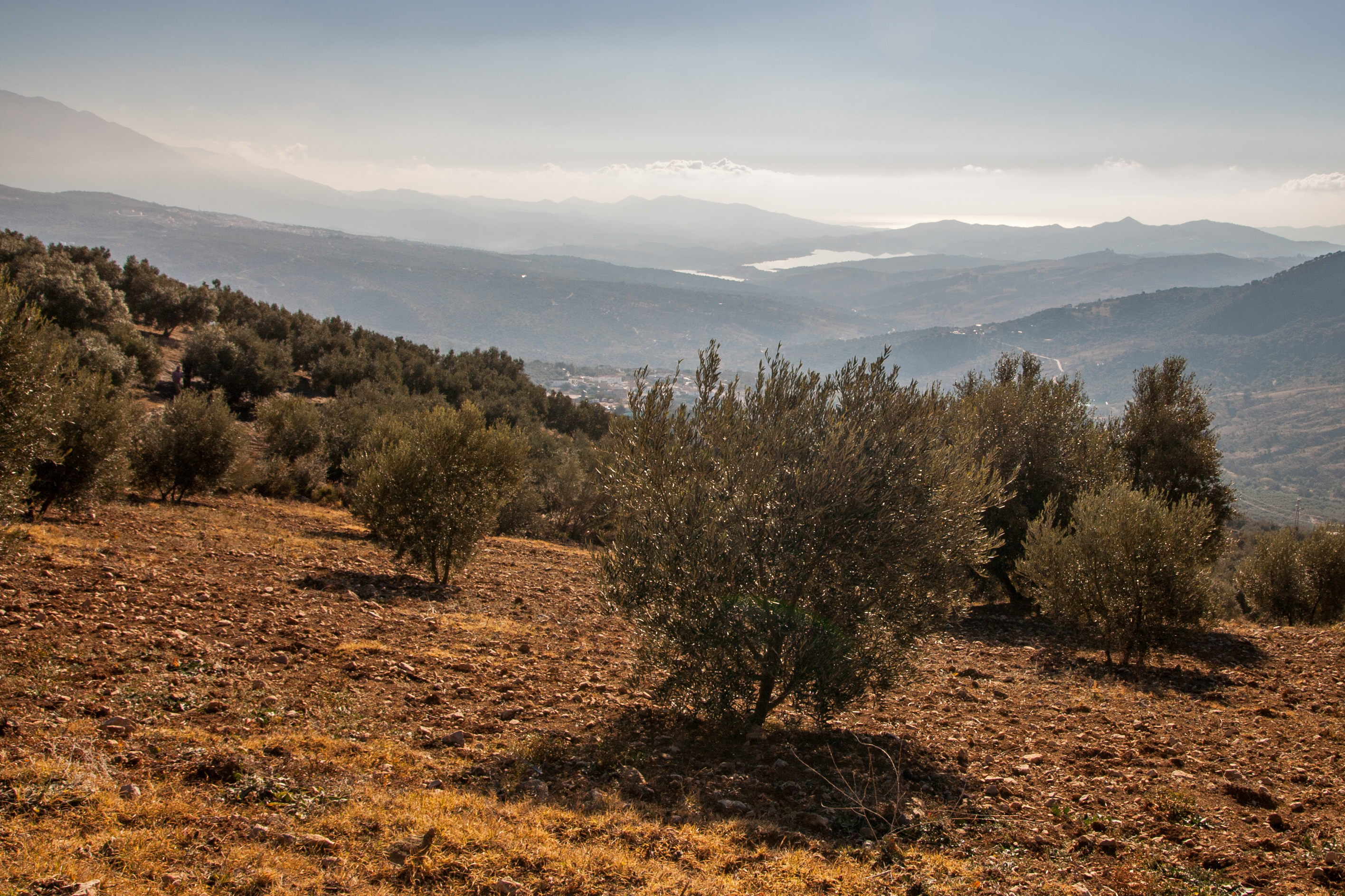 Vistas desde GR-7 Gran Senda De Málaga