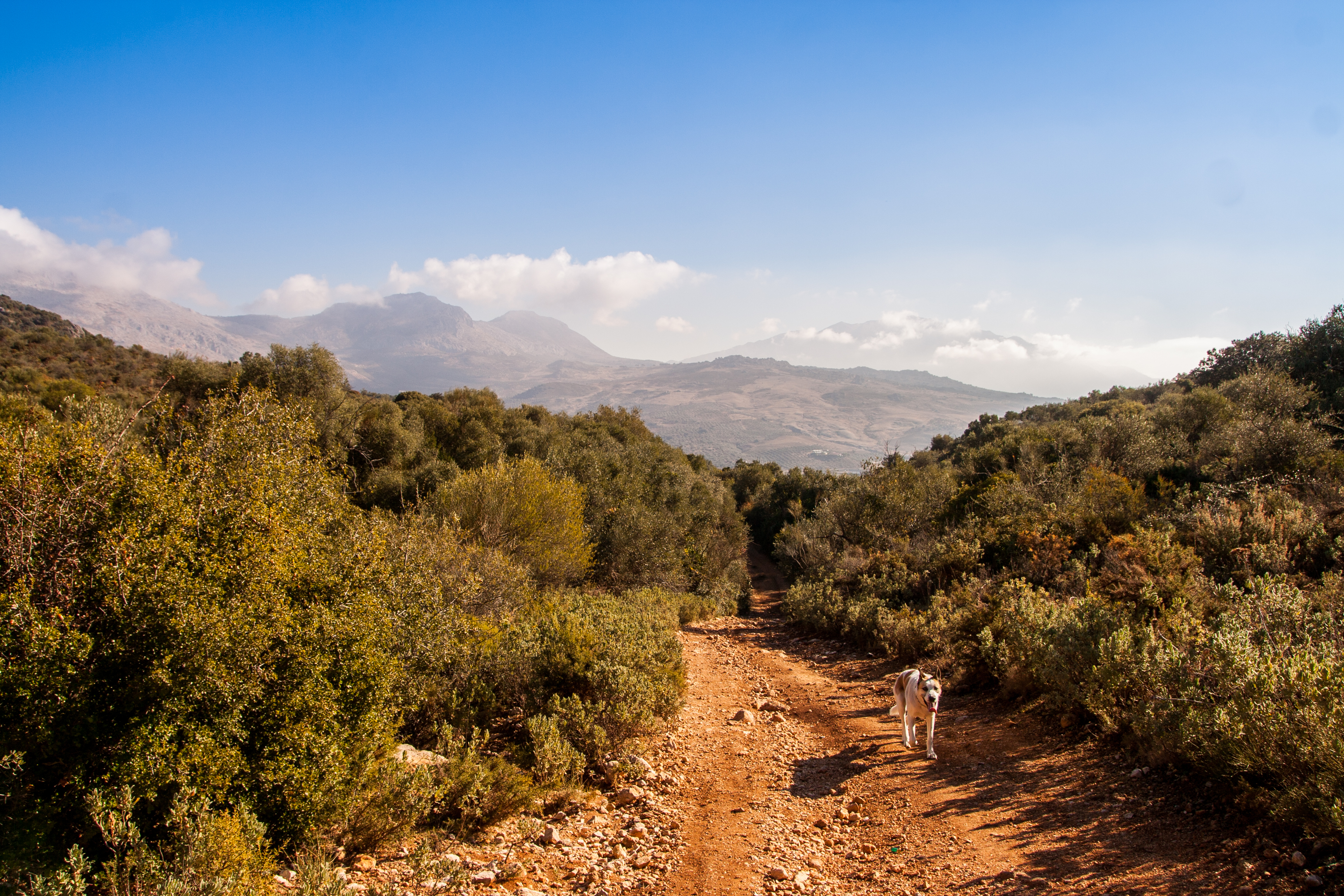 GR-7 Gran Senda Periana Alfarnatejo