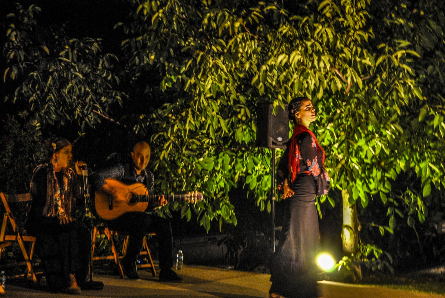 Aina Núñez Riera, Aina Núñez es bailaora de flamenco, pedagoga, artista visual y documentalista de primer nivel en los Jardines de Cortijo Las Monjas. 