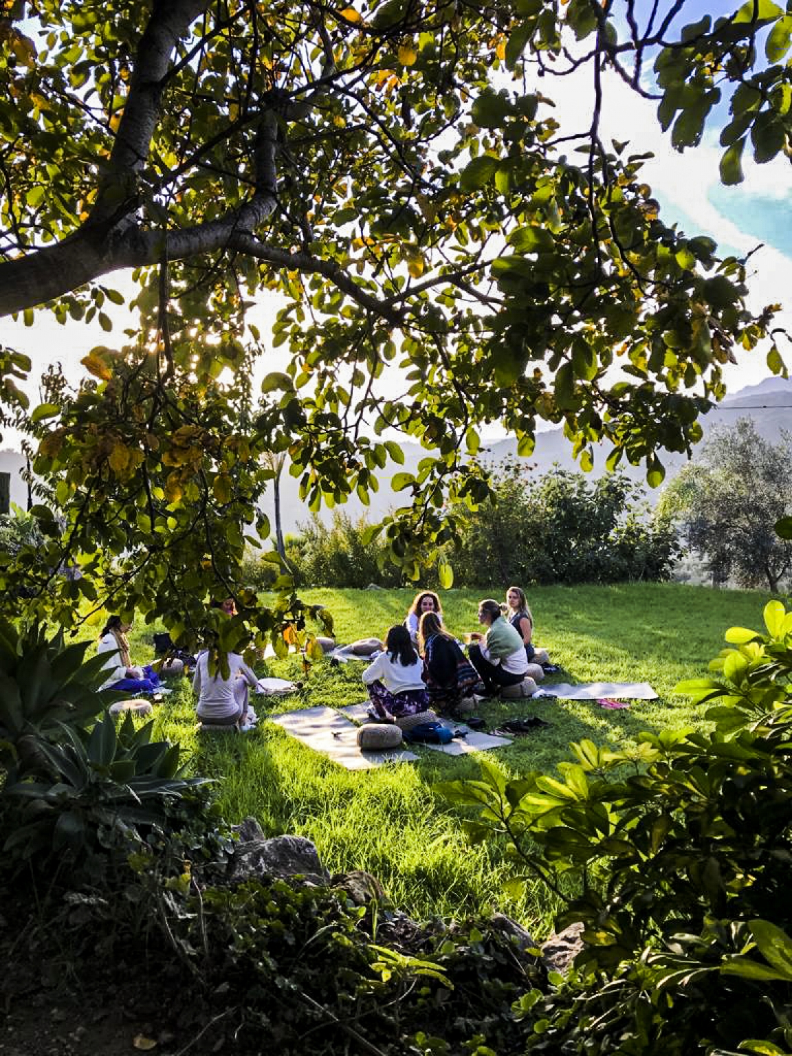 Cursos y Retiros de Yoga para profesores e instructores en las instalaciones del alojamiento Cortijo Las Monjas