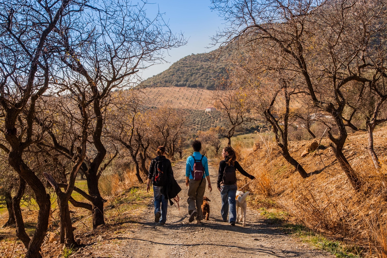 Hiking